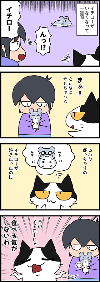 【猫マンガ-5話】イチロー生還