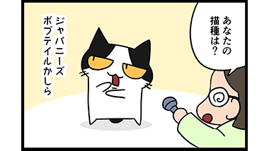 【猫マンガ-13話】コハクのインタビュー