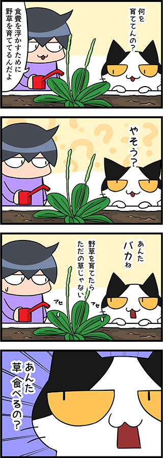 【猫マンガ-27話】野草を育てる