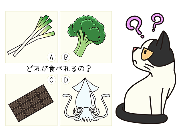 【猫クイズ-第2問】猫に与えていい食べ物は？