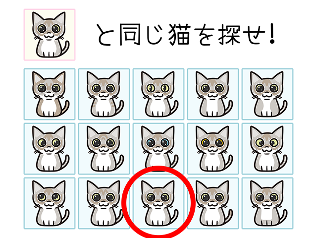 【猫クイズ-第39問】同じシンガプーラを探せ！
