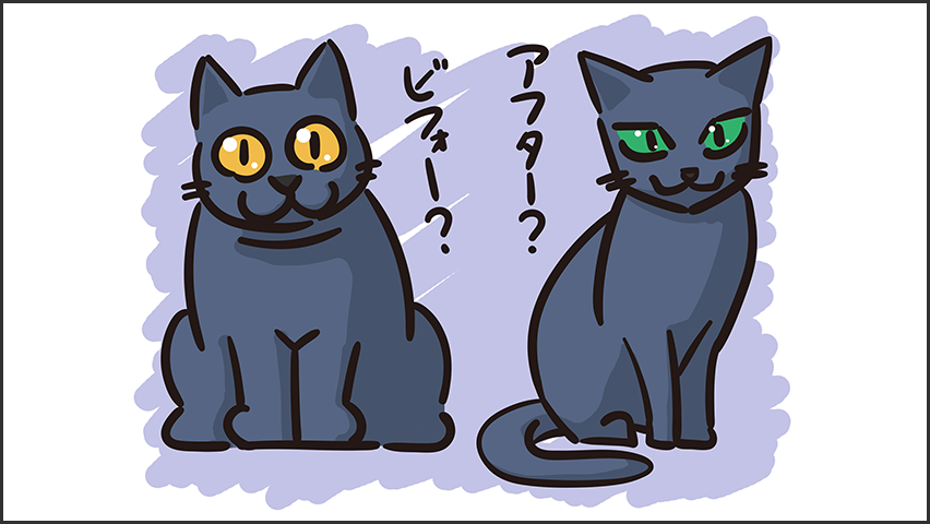 【猫クイズ-第20問】ロシアンブルーはどっち？