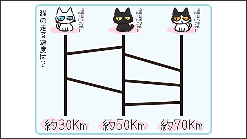 【猫クイズ-第35問】猫の走る速度は？正しいルートを選べ！